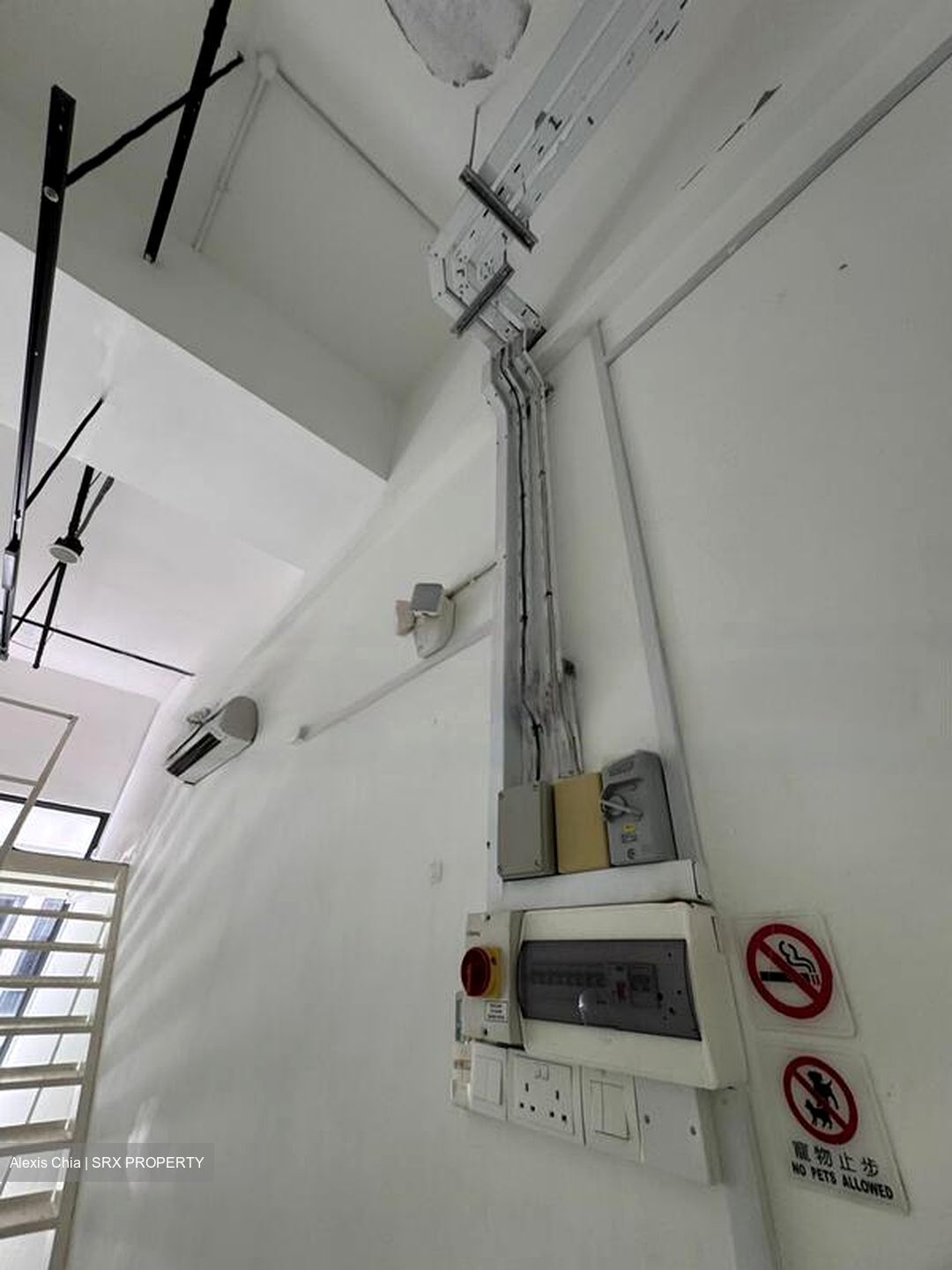 The Promenade@Pelikat (D19), Shop House #451552651